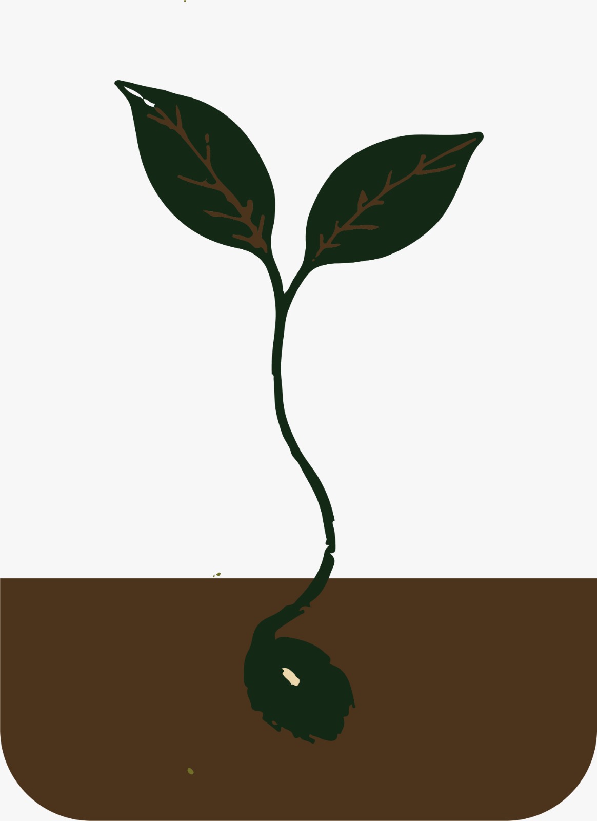 Semillas para el futuro